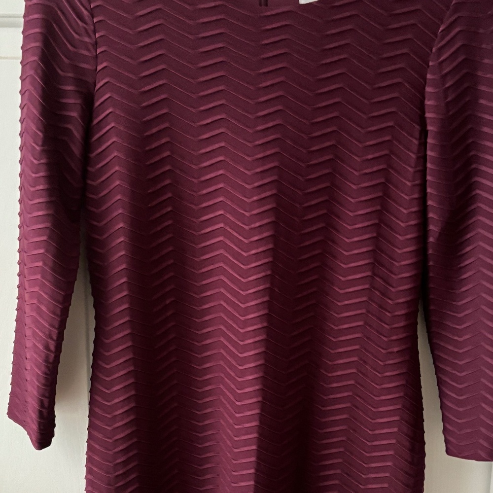 Lovely NWOT Calvin Klein Burgundy Dress with Raised with Pattern 3/4 Sleeves